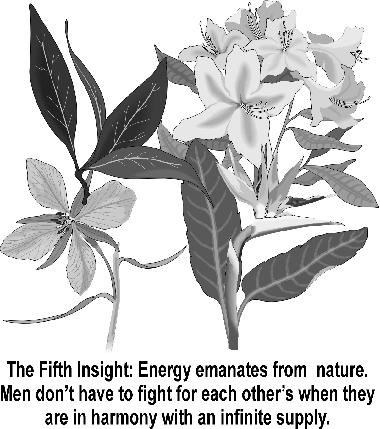 flowers.tif (330957 bytes)